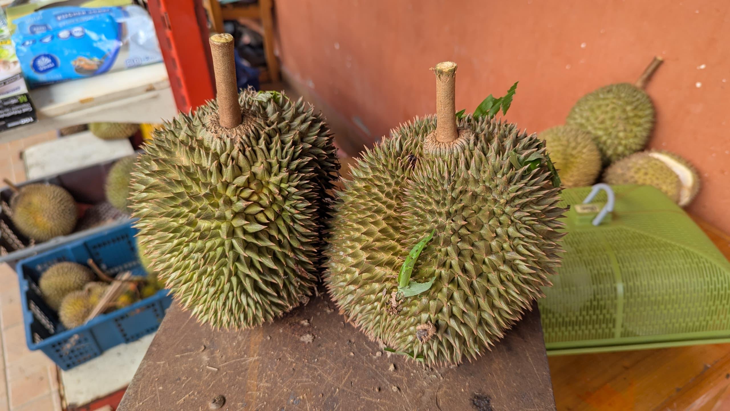 Durian